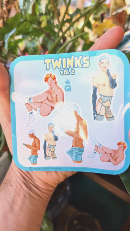 TWINKS  waterproof vinyl gay stickers